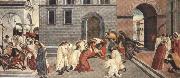 Sandro Botticelli Three miracles of St Zanobius (mk36) oil painting artist